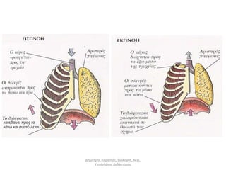 Δημήτρης Καρατζάς, Βιολόγος, Msc, 
Υποψήφιος Διδάκτορας 
 