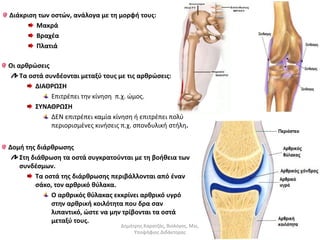 Διάκριση των οστών, ανάλογα με τη μορφή τους: 
Μακρά 
Βραχέα 
Πλατιά 
Οι αρθρώσεις 
Τα οστά συνδέονται μεταξύ τους με τις αρθρώσεις: 
ΔΙΑΘΡΩΣΗ 
Επιτρέπει την κίνηση π.χ. ώμος. 
ΣΥΝΑΘΡΩΣΗ 
ΔΕΝ επιτρέπει καμία κίνηση ή επιτρέπει πολύ 
περιορισμένες κινήσεις π.χ. σπονδυλική στήλη. 
Δομή της διάρθρωσης 
Στη διάθρωση τα οστά συγκρατούνται με τη βοήθεια των 
συνδέσμων. 
Τα οστά της διάρθρωσης περιβάλλονται από έναν 
σάκο, τον αρθρικό θύλακα. 
Ο αρθρικός θύλακας εκκρίνει αρθρικό υγρό 
στην αρθρική κοιλότητα που δρα σαν 
λιπαντικό, ώστε να μην τρίβονται τα οστά 
μεταξύ τους. 
Δημήτρης Καρατζάς, Βιολόγος, Msc, 
Υποψήφιος Διδάκτορας 
 