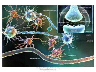 Δημήτρης Καρατζάς, Βιολόγος, Msc, 
Υποψήφιος Διδάκτορας 
 