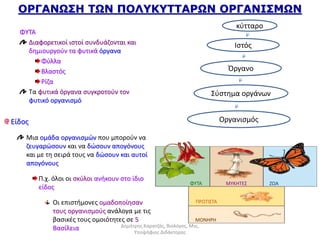 ΟΡΓΑΝΩΣΗ ΤΩΝ ΠΟΛΥΚΥΤΤΑΡΩΝ ΟΡΓΑΝΙΣΜΩΝ 
κύτταρο 
Ιστός 
Όργανο 
Σύστημα οργάνων 
Οργανισμός 
ΦΥΤΑ 
Διαφορετικοί ιστοί συνδυάζονται και 
δημιουργούν τα φυτικά όργανα 
Φύλλα 
Βλαστός 
Ρίζα 
Τα φυτικά όργανα συγκροτούν τον 
φυτικό οργανισμό 
Είδος 
Μια ομάδα οργανισμών που μπορούν να 
ζευγαρώσουν και να δώσουν απογόνους 
και με τη σειρά τους να δώσουν και αυτοί 
απογόνους 
Π.χ. όλοι οι σκύλοι ανήκουν στο ίδιο 
είδος 
Οι επιστήμονες ομαδοποίησαν 
τους οργανισμούς ανάλογα με τις 
βασικές τους ομοιότητες σε 5 
Bασίλεια 
ΦΥΤΑ ΜΥΚΗΤΕΣ ΖΩΑ 
ΠΡΩΤΙΣΤΑ 
ΜΟΝΗΡΗ 
Δημήτρης Καρατζάς, Βιολόγος, Msc, 
Υποψήφιος Διδάκτορας 
 