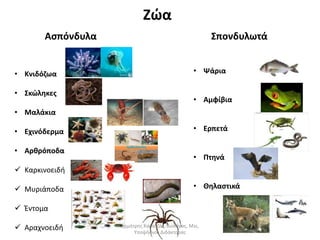 Ζώα 
Ασπόνδυλα Σπονδυλωτά 
• Κνιδόζωα 
• Σκώληκες 
• Μαλάκια 
• Εχινόδερμα 
• Αρθρόποδα 
 Καρκινοειδή 
 Μυριάποδα 
 Έντομα 
 Αραχνοειδή 
• Ψάρια 
• Αμφίβια 
• Ερπετά 
• Πτηνά 
• Θηλαστικά 
Δημήτρης Καρατζάς, Βιολόγος, Msc, 
Υποψήφιος Διδάκτορας 
 