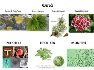 Φυτά 
Βρύα & Λειχήνες Κρυπτόγαμα Γυμνόσπερμα Αγγειόσπερμα 
ΜΥΚΗΤΕΣ ΠΡΩΤΙΣΤΑ ΜΟΝΗΡΗ 
Δημήτρης Καρατζάς, Βιολόγος, Msc, 
Υποψήφιος Διδάκτορας 
 