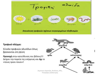 Απεικόνιση τροφικών σχέσεων συγκεκριμένων πληθυσμών 
Τροφικό πλέγμα: 
Σύνολο τροφικών αλυσίδων όπως 
βρίσκονται στη φύση 
Προσοχή στην κατεύθυνση του βέλους!!! 
Δείχνει την πορεία της ενέργειας και όχι το 
«ποιος τρώει ποιον»! 
Δημήτρης Καρατζάς, Βιολόγος, MSc, 
Υποψήφιος Διδάκτορας 
 