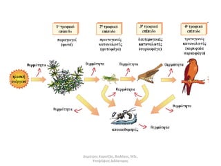 Δημήτρης Καρατζάς, Βιολόγος, MSc, 
Υποψήφιος Διδάκτορας 
 