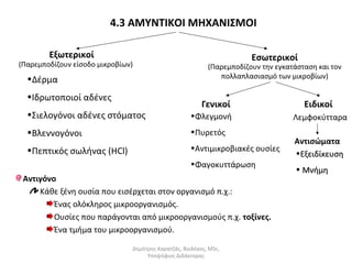 4.3 ΑΜΥΝΤΙΚΟΙ ΜΗΧΑΝΙΣΜΟΙ 
Εξωτερικοί Εσωτερικοί 
(Παρεμποδίζουν είσοδο μικροβίων) (Παρεμποδίζουν την εγκατάσταση και τον 
πολλαπλασιασμό •Δέρμα των μικροβίων) 
•Ιδρωτοποιοί αδένες 
•Σιελογόνοι αδένες στόματος 
•Βλεννογόνοι 
•Πεπτικός σωλήνας (HCl) 
Γενικοί Ειδικοί 
•Φλεγμονή 
•Πυρετός 
•Αντιμικροβιακές ουσίες 
•Φαγοκυττάρωση 
Αντισώματα 
Αντιγόνο 
Κάθε ξένη ουσία που εισέρχεται στον οργανισμό π.χ.: 
Ένας ολόκληρος μικροοργανισμός. 
Ουσίες που παράγονται από μικροοργανισμούς π.χ. τοξίνες. 
Ένα τμήμα του μικροοργανισμού. 
Λεμφοκύτταρα 
•ΕΕξξεειιδδίίκκεευυσσηη 
• ΜΜννήήμμηη 
Δημήτρης Καρατζάς, Βιολόγος, MSc, 
Υποψήφιος Διδάκτορας 
 