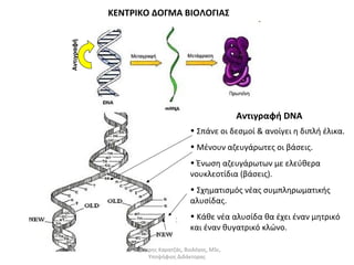ΚΕΝΤΡΙΚΟ ΔΟΓΜΑ ΒΙΟΛΟΓΙΑΣ 
Αντιγραφή 
Αντιγραφή DNA 
• Σπάνε οι δεσμοί & ανοίγει η διπλή έλικα. 
• Μένουν αζευγάρωτες οι βάσεις. 
• Ένωση αζευγάρωτων με ελεύθερα 
νουκλεοτίδια (βάσεις). 
• Σχηματισμός νέας συμπληρωματικής 
αλυσίδας. 
• Κάθε νέα αλυσίδα θα έχει έναν μητρικό 
και έναν θυγατρικό κλώνο. 
Δημήτρης Καρατζάς, Βιολόγος, MSc, 
Υποψήφιος Διδάκτορας 
 