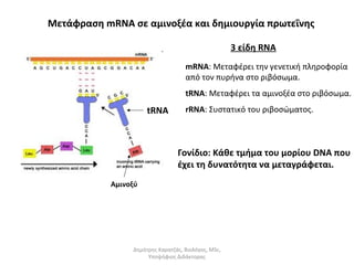 Μετάφραση mRNA σε αμινοξέα και δημιουργία πρωτεΐνης 
Αμινοξύ 
tRNA 
3 είδη RNA 
mRNA: Μεταφέρει την γενετική πληροφορία 
από τον πυρήνα στο ριβόσωμα. 
tRNA: Μεταφέρει τα αμινοξέα στο ριβόσωμα. 
rRNA: Συστατικό του ριβοσώματος. 
Γονίδιο: Κάθε τμήμα του μορίου DNA που 
έχει τη δυνατότητα να μεταγράφεται. 
Δημήτρης Καρατζάς, Βιολόγος, MSc, 
Υποψήφιος Διδάκτορας 
 