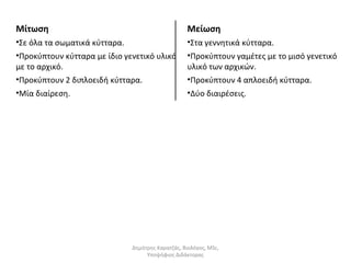 Μίτωση 
•Σε όλα τα σωματικά κύτταρα. 
•Προκύπτουν κύτταρα με ίδιο γενετικό υλικό 
με το αρχικό. 
•Προκύπτουν 2 διπλοειδή κύτταρα. 
•Μία διαίρεση. 
Μείωση 
•Στα γεννητικά κύτταρα. 
•Προκύπτουν γαμέτες με το μισό γενετικό 
υλικό των αρχικών. 
•Προκύπτουν 4 απλοειδή κύτταρα. 
•Δύο διαιρέσεις. 
Δημήτρης Καρατζάς, Βιολόγος, MSc, 
Υποψήφιος Διδάκτορας 
 