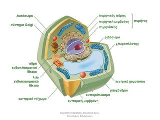 Δημήτρης Καρατζάς, Βιολόγος, MSc, 
Υποψήφιος Διδάκτορας 
 