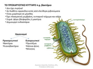 ΤΟ ΠΡΟΚΑΡΥΩΤΙΚΟ ΚΥΤΤΑΡΟ π.χ. βακτήριο 
• Δεν έχει πυρήνα! 
• Δε διαθέτει οργανίδια εκτός από ελεύθερα ριβοσώματα 
• Είναι μικρότερο σε μέγεθος 
• Έχει πλασματική μεμβράνη, κυτταρικό τοίχωμα και κάψα 
• Συχνά φέρει βλεφαρίδες ή μαστίγια 
• Δημιουργεί ενδοσπόρια 
Οργανισμοί 
Προκαρυωτικοί 
•Βακτήρια 
•Κυανοβακτήρια 
Ευκαρυωτικοί 
•Πρωτόζωα 
•Κάποια φύκη 
•Μύκητες 
Δημήτρης Καρατζάς, Βιολόγος, MSc, 
Υποψήφιος Διδάκτορας 
 