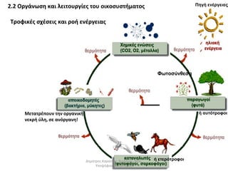 Φωτοσύνθεση 
ή ετερότροφοι 
ή αυτότροφοι 
2.2 Οργάνωση και λειτουργίες του οικοσυστήματος 
Τροφικές σχέσεις και ροή ενέργειας 
Μετατρέπουν την οργανική 
νεκρή ύλη, σε ανόργανη! 
Πηγή ενέργειας 
Δημήτρης Καρατζάς, Βιολόγος, MSc, 
Υποψήφιος Διδάκτορας 
 
