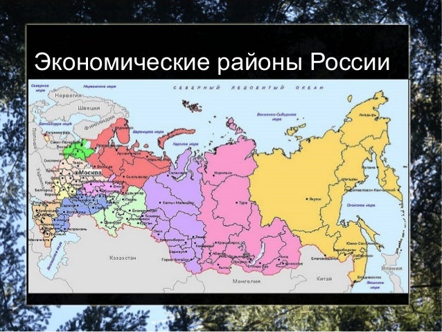 определите экономический район по набору характеритик прорастить семена, нужно