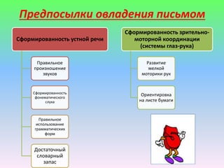 Предпосылки овладения письмом 
Сформированность устной речи 
Правильное 
произношение 
звуков 
Сформированность 
фонематического 
слуха 
Правильное 
использование 
грамматических 
форм 
Достаточный 
словарный 
запас 
Сформированность зрительно- 
моторной координации 
(системы глаз-рука) 
Развитие 
мелкой 
моторики рук 
Ориентировка 
на листе бумаги 
 