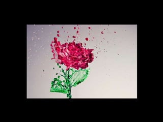 الالوان يا بتوع الجرافيك 