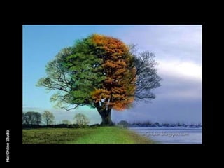 الالوان يا بتوع الجرافيك 