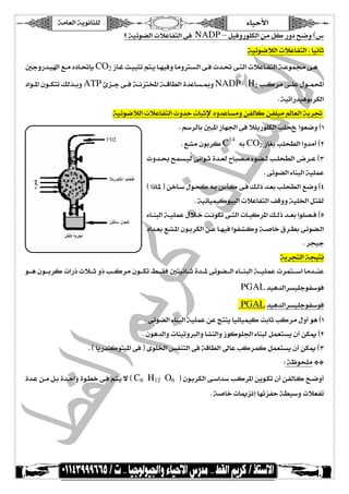 2H 
ADP ATP 
ØéÊæ…ç×ÓÖ]àÚíÎ^e  
ADP + P  ATP 
 ¼`ßÖ] 
 l^Ë‰çËÖ]îñ^ßm°‰çßèB_ P~ P + P P~P ~ P l^Ë‰çËÖ]îmøm°‰çßèB_ 
ä{Öˆ{Ú†èð]†–{¤]ì‚éj{‰øfÖ]î{ÊBçqçÚÜèˆÞc‚Â^ŠÚÄÚð^¹]ôˆq…^S`ÞcàÚsi^ßÖ]°qæ…‚é]‚vjèDR 
 J°rŠÒæù]ÄÚíéÞ^m°qæ…‚é]B^]cB^Ãè÷ÔÖ„eæNADP H2áçÓèæNADP 
 JïçÞ^msi^ßÒð^¹]…^S`ÞcàÚ…†vj¹]°rŠÒæù]Ð×SßèDS 
 VíÚ^âí¾çv×Ú 
Üãß{éel^Ë{‰çÊl^{ÂçÛ¥pø{mæ‡ç{fè†Ö]†Ó{‰æ°ß{èBù]àÚáçÓjèæl^Ë‰çËÖ]îmøm°‰çßèB_îÛŠègÒ†ÚçâATP 
 Jíé×¤]îÊíÎ^SÖ]í×ÛÂçâATPjÃèæíÎ^SÖ]îjéÖ^Â°jSe]… 
 JíÎ^SÖ]íéÖ^Âì‚u]æíSe]…Üãßéel^Ë‰çÊîjÂçÛ¥î×Âïçj¬l^Ë‰çËÖ]îñ^ßm°‰çßèB_îÛŠègÒ†ÚçâADP 
 J°qæ…‚é]ØfÏjŠÚçâæH‚éiç×ÓéßÖ]îñ^ßm°içÓéßÖ]‚éÚ_l^Ë‰çÊîÛŠègÒ†ÚçâNADP 
H  2O 
NADP 
NADPH2 
O2 
  
  
  
! 
$% # 
  