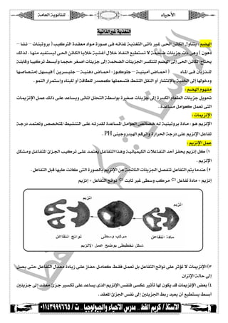 íÚ^ÃÖ]íèçÞ^n×Ö ð^éuù ]  
 [íéñç–Ö]løÂ^ËjÖ]îÊNADP–ØéÊæ…ç×ÓÖ]àÚØÒ…æBx•æDOE 
 íéñç•øÖ]løÂ^ËjÖ]V^éÞ^m 
°qæ…‚{{é]Ä{ÚåB^{]deCO2‡^{Æk{éfniÜj{è^{ãéÊæ^ÚæRŠ{{Ö]î{Êp‚{]î{jÖ]løÂ^{ËjÖ]í{ÂçÛ¥î{â 
B]ç{{¹]áç{{ÓjiÔÖ„{{eæATPôˆ{{qî{{Êí{{Þˆj~¹]í{{Î^SÖ]ì‚Â^Š{{²æNADP H2g{{Ò†Úî{{×ÂÙç{{Û^] 
 Jíéi]…‚éâçe†ÓÖ] 
 íéñç•øÖ]løÂ^ËjÖ]pæ‚ul^fmýåæ‚Â^ŠÚæàËÖ^ÒàË×éÚ¢^ÃÖ]íe†Ÿ 
 JÜ‰†Ö^e°f¹]‡^ã¢]îÊø×è…ç×ÓÖ]g×ve ]çÃ•æDM 
C äeCO2‡^Çeg×vSÖ]]æ‚Ú_DN 14  JÄ`Úáçe†Ò 
pæ‚{{›xÛŠ{{éÖîÞ]ç{{mì‚{{ÃÖ|^f’{{Úðç–{{Ög{{×vSÖ]š†{{ÂDO 
 Jîñç–Ö]ð^ßfÖ]íé×ÛÂ 
D]ƒ^{¹Eà}^{‰Ùç{vÒä{eOE`{Òî{ÊÔ{Öƒ‚{Ãeg×vSÖ]Ä•æDP 
 Jíéñ^éÛéÒçéfÖ]løÂ^ËjÖ]ÌÎææíé×¤]ØjÏÖ 
ð^{{ßfÖ]í{{é×ÛÂÙø{{}k{{ÞçÓiî{{jÖ]l^{{fÒ†¹]Ô{{Öƒ‚{{Ãe]ç×’{{ÊDQ 
B]‚{{ÃeÄ`{{¹]áç{{e†ÓÖ]à{{Â^{{ãéÊ]çË`{{Òæí{{‘^}Ñ†{{Seîñç–{{Ö] 
 J†réq 
 íe†rjÖ]íréjÞ 
ç{{{âáç{{{e†Òl]…ƒpø{{{mæƒg{{{Ò†Úáç{{{Ói¼{{{ÏÊ°jéÞ^{{{mì‚{{{¹îñç–{{{Ö]ð^{{{ßfÖ]í{{{é×ÛÂl†Ûj{{{‰]^Ú‚{{{ßÂ 
 PGAL‚éâ‚Ö]†Šé×qçË‰çÊ 
  PGAL‚éâ‚Ö]†Šé×qçË‰çÊ 
 Jîñç–Ö]ð^ßfÖ]íé×ÛÂàÂsjßè^éñ^éÛéÒke^mgÒ†ÚÙæ_çâDM 
 Jáçâ‚Ö]æl^ßéiæÖ]æ^`ßÖ]æ‡çÒç×¢]ð^ßfÖØÛÃjŠèá_àÓμDN 
 JD^è…‚ßÒçjé¹]îÊEïç×¤]‹ËßjÖ]îÊíÎ^SÖ]±^ÂgÒ†ÛÒØÛÃjŠèá_àÓμDO 
 Ví¾çv×ÚFF 
ì‚{Âà{ÚØ{eì‚{u]æìç{S}î{ÊÜj{è÷DC6 H12 O6 Eáç{e†Ó Ö]î{‰]‚‰g{Ò†¹]àèç{Óiá_àËÖ^{Òx{•æ_ 
 Jí‘^}l^μˆÞc^ãiˆËuíSé‰æløÃËi 
  
  
  
  
  
  
 