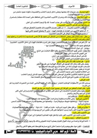 íÚ^ÃÖ]íèçÞ^n×Ö ð^éuù] 
  
àÚØ’jÚçÛÂäÞçÓÚl^fé’ÏÖ]ægX¤]íéÂæ_Ø}]˜Ãfe^ã–Ãeð^¹]l^òèˆq°eÔ‰^³ìçÎD_ 
 Jíéñ]çâl^Â^ÏÊäßée‹éÖð^¹] 
…]†Ûj‰^eíÏ×ÃÚð^¹]ì‚ÛÂ_î×ÂÀÊ^ -Ö]íéfX¤]gée^Þù]á]…‚qæð^¹]l^òèˆq°eÐ‘øjÖ]ìçÎDh 
 Jíé•…ù]íéeƒ^¢]‚• 
 î×Â_±cgX¤]íéÂæ_»ð^¹]ì‚ÛÂ_h„qîÊgfŠjèÑ]…æù]îÊ†ÛjŠ¹]xjßÖ]D{q 
 IVíéfX¤]gée^Þù]îÊð^¹]‚ìçÎ½æ† 
 Jð^¹]ÄÚÑ^’jÖ]íé‘^}l]ƒgée^Þù]á]…‚qáçÓiá_INJíè†Ãgée^Þù]áçÓiá_IM 
 ^ãéÊêñ^¹]çÛÃÖ]ÄSÏßè÷îju–ð]çf]l^Â^ÏÊæ_l]‡^ÇÖ]àÚgée^Þù]ç×¡á_IO 
 íéfX¤]íéÂæù]îÊ†Ê]çji½æ†XÖ]å„âÄé¶æ 
‚{Ãe^{ãjÂ]…‡l†}`{i]ƒcíμ‚jŠ{¹]ê{•]…ù]»^{ãjÂ]…ˆÖØi^X{¹]à{ÚløjX{Ö]˜{ÃeØ{ÏÞ|^¨Ý‚ÂVØ×ÂVOE 
 Jí×èçcì‚Ú‹ÛX×Ök•†ÃiæØÏßÖ] 
 íéfX¤]gée^Þù]Ø}]±cð]çf]l^Â^ÏÊh†Šiî×ÂØÛÃè‹ÛX×Öí×èçcì‚ÚløjXÖ]š†ÃiáùI{q 
 –^ãeì…^’ÃÖ]çÃ‘Äßμ^º–^ã×}]‚eð^¹]çÛÂÄSÏßéÊ 
 J^ãiçÚæí×jXÖ]Ùçeƒ±cïöèæ 
 xjßÖ]àÂíò^ßÖ]‚XÖ]ìçÎæÐ‘øjÖ]æÔ‰^ÛjÖ]ïçÎejÃiVí¿uøÚ 
 gv‰î×ÂØÛÃiîjÖ]íé‰^‰ù]ïçÏÖ]îâ 
 JyÚMLLàÂ‚èˆiíÏâ^l^Ê^Š¹Ñ^ŠÖ]îÊð^¹] 
 IVÑ]…æù]±c…„¢]àÚì…^’ÃÖ]çÃ‘…^ŠÚ 
 J…^€ØÓî×Âð^¹]‚ÏÊíé×ÛÂçâIVxjßÖ] 
 …çÇnÖ]Ðè†càÂíéñ]çf]Í†ÇÖ]îÊçqç¹]ð^¹]…^€‚ÏÊî×ÂØÛÃè 
 ^ãeíSé¢]¼‰çj¹]séŠßÖ]^èø}àÚð^¹]íéñ]çf]Í†ÇÖ]gvŠjÊ 
 ð^Û×Ö^ãe„q±cÔÖƒïöèæ^èø¤]Ô×iì…^’ÂˆéÒ†i]ˆéÊ 
 îÊgX¤]íéÂæ_îjuì…æ^˜]^èø¤]àÚ 
 gX¤]íéÂæ_îÊð^¹]çÛÂÄÏèÔÖ„eæíÎ…ç×ÖîS‰çÖ]Ñ†ÃÖ^ÊìfÓÖ^ÊíÏéÎ‚Ö]Ñæ†ÃÖ] 
 Jg^ÃÚí×’j¹]Ñ^ŠÖ]æ…„¢]gX}íéÂæ_îÊð^¹]ÄËiÊìfÒ‚ìçÎk  
 VêÎ…çÖ]‚XÖ] 
Ümíè…„¢]l]ÃXÖ]àÚð^Û×Ö£Þ^¢]‚XÖ]±cÔÖƒïöèæ–…„r×Öíéñ^ÂçÖ]íÞ]çS‰ù]àÚð^¹]gvŠè 
 íeyÖ]àÚ 
 ð^v×Ö]Ðè†càÂl^fßÖ]ð]ˆq_Äé¶±cíÎ…çÖ]àÚˆâ^¢]ð]„ÇÖ]ØÏÞVg^éÞ^m 
 îÓÖî×Â_±cæï…„¢]ÅçÛ˜]æÑ^ŠÖ]ï„ÇjiîÓÖØË‰_±cír•^ßÖ]ì…^’ÃÖ]ØÏßeÝçÏèð^v×Ö] 
 J…^ÛnÖ]æ…^â‡ù]æÜÂ]eÖ]ï„Çi 
 àÚgÒyèVð^v×Ö]géÒ†i 
 IVáçÓi^ãr–Þ‚ßÂ^ã–ÃeÑçÊí‘]yÚæí×éSjŠÚ^èø}îâæVäéÖ^e†Ægée^Þ_DME 
îÛŠiífÏnÚí•†ÃjŠÚá]…‚q^ã–ÃeàÂ^ã×’ËiæIíéÚ‡øeçjé‰½çé}^ã××~jèæIì]çßÖ]íμ‚Â 
 äéÖ^e†Æxñ^Ë‘ 
l^é×ÛÃÖ]Üé¿ßiî×ÂØÛÃiæ–ì]çÞl]ƒ–íÏÊ]†Úíé×}VäéÖ^e†ÆíeçfÞ_ØÒÐÊ]†èVíÏÊ]†Ú^èø}DN 
 ^è…‚ÞçÒçjé¹]æl^Úç‰çfè†Ö]àÚfÒ…‚Îî×Â^ãñ]çju]gfŠeíéÖ^e†ÇÖ]íeçfÞúÖíèçé£] 
 VíéÖ^e†ÇÖ]gée^Þù]…æ 
 l^fßÖ]ð]ˆq_±cìˆâ^¢]íéñ]„ÇÖ]]ç¹]ØÏÞ»íéÖ^e†ÇÖ]gée^Þù]…ækfnih…^Ÿ 
 IV…çeæá‚ée]…á^¹^ÃÖ]íe†ŸDME 
ÄXÚC áçe†ÒäeCO2çqæ»ÔÖƒæêñç–Ö]ð^ßfÖ]íé×ÛÃeÝ^éÏ×ÖÙçËÖ]l^fÞàÚì‚u]æíÎ…çÖ^u^i_IM 
  
 ØË‰ùæî×Âù^ãÒ† Àuç×Ê^â…^ŠÚÄfjiàÓÚ_íÃXÚíéi]…‚éâçe†Ò]çÚáçÓiIVì‚â^X¹] 
 