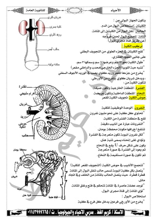 íÚ^ÃÖ]<íèçÞ^n×Ö ð^éuù]<<<<<<<<< 
< < 
: àÚ<êÖçfÖ] ‡^ã¢]<áçÓjè 
.Ý‚Ö]<àÚ<ÙçfÖ]<”ø~j‰]: á^jé×ÓÖ] 
.íÞ^n¹]<±c<°jé×ÓÖ]<àÚ<ÙçfÖ]<ØÏÞ: á^fÖ^£] 
< <<äqæ†}<°£<ÙçfÖ]<ÄéÛŸ: íÞ^n¹] 
DÙçfÖ]<ë†¥<ì^ßÎ<Ðè†f àÂE 
: íé×ÓÖ]<géÒ†i 
< <<<†SfÖ]<ÌèçrjÖ]<àÚ ëç×ÃÖ]<ðˆ¢]<»<á^jé×ÓÖ]<ÄÏi" 
.ë…^ÏËÖ]<9çÛÃÖ]<‡Þ^q<î×Â 
.Ü‰<O<^ãÓŠæ<Ü‰ S<^ã•†Âæ<Ü‰<MN<ç©<íé×ÓÖ]<Ùçf" 
D†ÃÏÚ<ê×}]‚Ö]æ<h‚¦<êq…^¤]<ðˆ¢]E<^éeç×Ö]<ífu<äf-i" 
< <ê×ËŠÖ]<Íçqù]<‚è…çÖ]<»<g’è<ëç×Ò<‚è…æ<†ÃÏ¹]<^âðˆq<àÚ<t†−" 
.êf…æù]<àÚ<Å†Ëjè ëç×Ò<á^è†}<Ø}‚èæ<H 
V<àÚ<íé×ÓÖ]<áçÓji 
.íÏé•<áçÓiæ<íéq…^¤] íÏSß¹]: ì†-ÏÖ] 
.í–è†Â<áçÓiæ<íé×}]‚Ö]<íÏSß¹]: Å^~ßÖ] 
†ÃÏ¹]<íé×ÓÖ]<ÌèçŸV<íé×ÓÖ]<šçužł 
íé×Ó×Ö<íéËé¾çÖ]<ì‚uçÖ]: áæ†ËßÖ] 
< <<áæ†ËÞ<áçé×Ú<ç©<î×Â<íé×Ò<ØÒ<ëçjq" 
.íé×ÓÖ]<àÚ<ì†-ÏÖ] íÏSßÚ<»<ÄÏi 
< <íÏéÎ9<gée^Þ_<àÂ<ì…^fÂ<l^Þæ†ËßÖ]" 
.á^Úçe í¿Ë¦<íÞçÓÚ<^ãÊ]†f _<Ëjßi< 
< <ì†-ÏÖ]<»<íq†ÃjÚ<áçÓi<íeçfÞ_<áæ†ËÞ<ØÓÖ" 
.Øßâ íéßm<îÛŠè<ð^ß©c<î×Æ<ë9öiæ< 
< <<Å^~ßÖ]<»<ÄÏè U Í†u<ØÓ}<î×Â<áçÓè 
< <<íq†ÃjÚ<ì…ç‘<»<ì†-ÏÖ]<±c<9çÃè<Üm 
.Å^~ßÖ]<»<íÛéÏjŠÚ<ì…ç‘<»<áçÓi Üm 
Díé×Ó×Ö †ÃÏ¹]<ÌèçrjÖ]E<Jíé×ÓÖ]<šçu<»<gée^Þù]<ÄÛrji" 
< <íÞ^n¹]<±c<ÙçfÖ]<ØÏßi<gÖ^u<îÛŠi<íeçfÞ_<íé×Ò<ØÓe<Ø’jè" 
< <å^Ÿ]<»æ<Ì×¤]<àÚ<íÞ^n¹^e<gÖ^£]<Ø’jè<oéu Hì†SÎ<ì†SÎ< 
.Øñ^Ú< 
.íÞ^n¹]<Ð×Ææ<xjÊ<»<ÜÓvji<íÞ^n¹] »<ì†‘^Â<í×–Â<‚qçi" 
.ÙçfÖ] ï†¥<ì^ßÎ<±c<íÞ^n¹]<ëöi" 
: ÙçfÖ]]<”ø~j‰] 
< <íé×Ò<»<Å†Ê<ØÒ<Ø}‚è<°Â†Ê<êf …æù]<àÚ<t†−" 
 