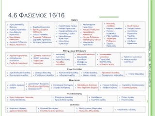 266
ΚαζάκουΓεωργία,ΠΕ09Οικονομολόγος
4.6 ΦΑΣΙΣΜΟΣ 16/16
 
