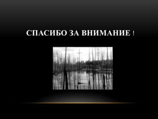 СПАСИБО ЗА ВНИМАНИЕ ! 

