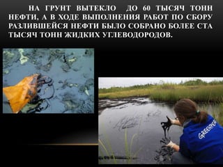 НА ГРУНТ ВЫТЕКЛО ДО 60 ТЫСЯЧ ТОНН 
НЕФТИ, А В ХОДЕ ВЫПОЛНЕНИЯ РАБОТ ПО СБОРУ 
РАЗЛИВШЕЙСЯ НЕФТИ БЫЛО СОБРАНО БОЛЕЕ СТА 
ТЫ...