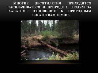 МНОГИЕ ДЕСЯТИЛЕТИЯ ПРИХОДИТСЯ 
РАСПЛАЧИВАТЬСЯ И ПРИРОДЕ И ЛЮДЯМ ЗА 
ХАЛАТНОЕ ОТНОШЕНИЕ К ПРИРОДНЫМ 
БОГАТСТВАМ ЗЕМЛИ. 
 