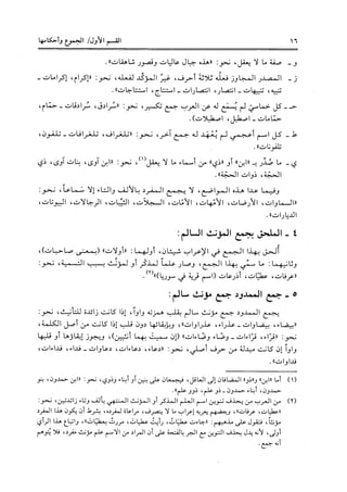 جمع المؤنث السالم