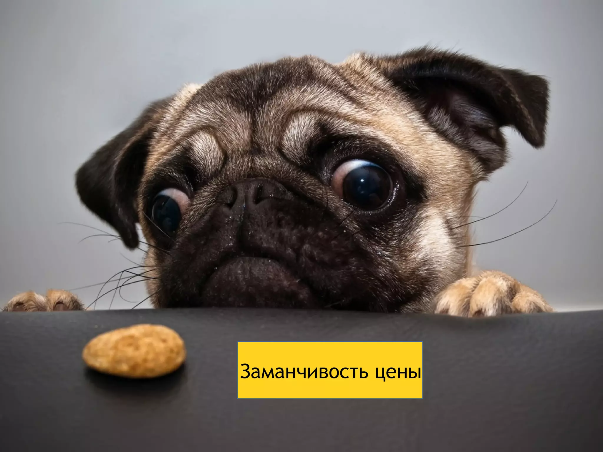 Заманчивость цены 
 