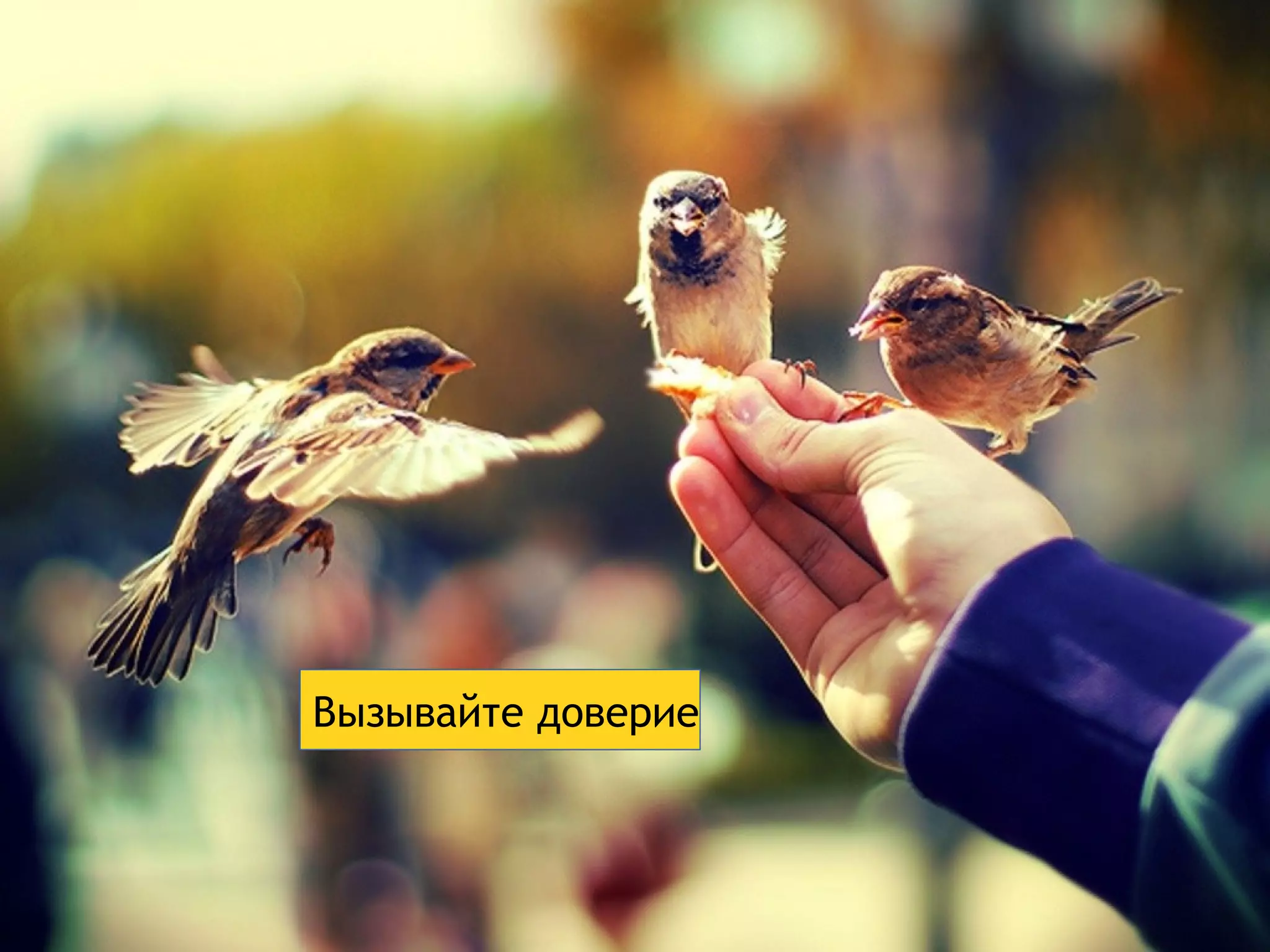 Вызывайте доверие 
 