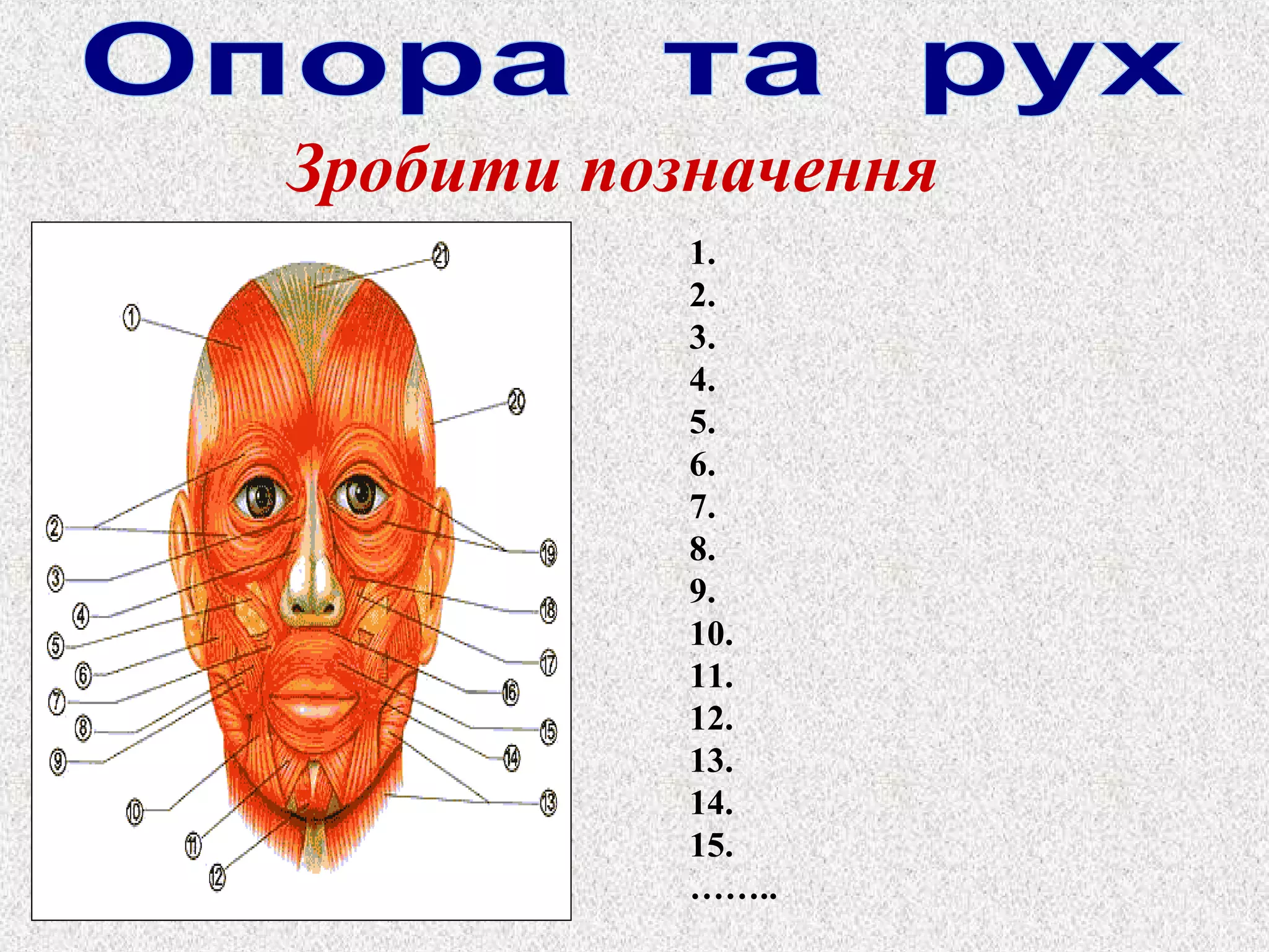 Зробити позначення 
1. 
2. 
3. 
4. 
5. 
6. 
7. 
8. 
9. 
10. 
11. 
12. 
13. 
14. 
15. 
…….. 
 