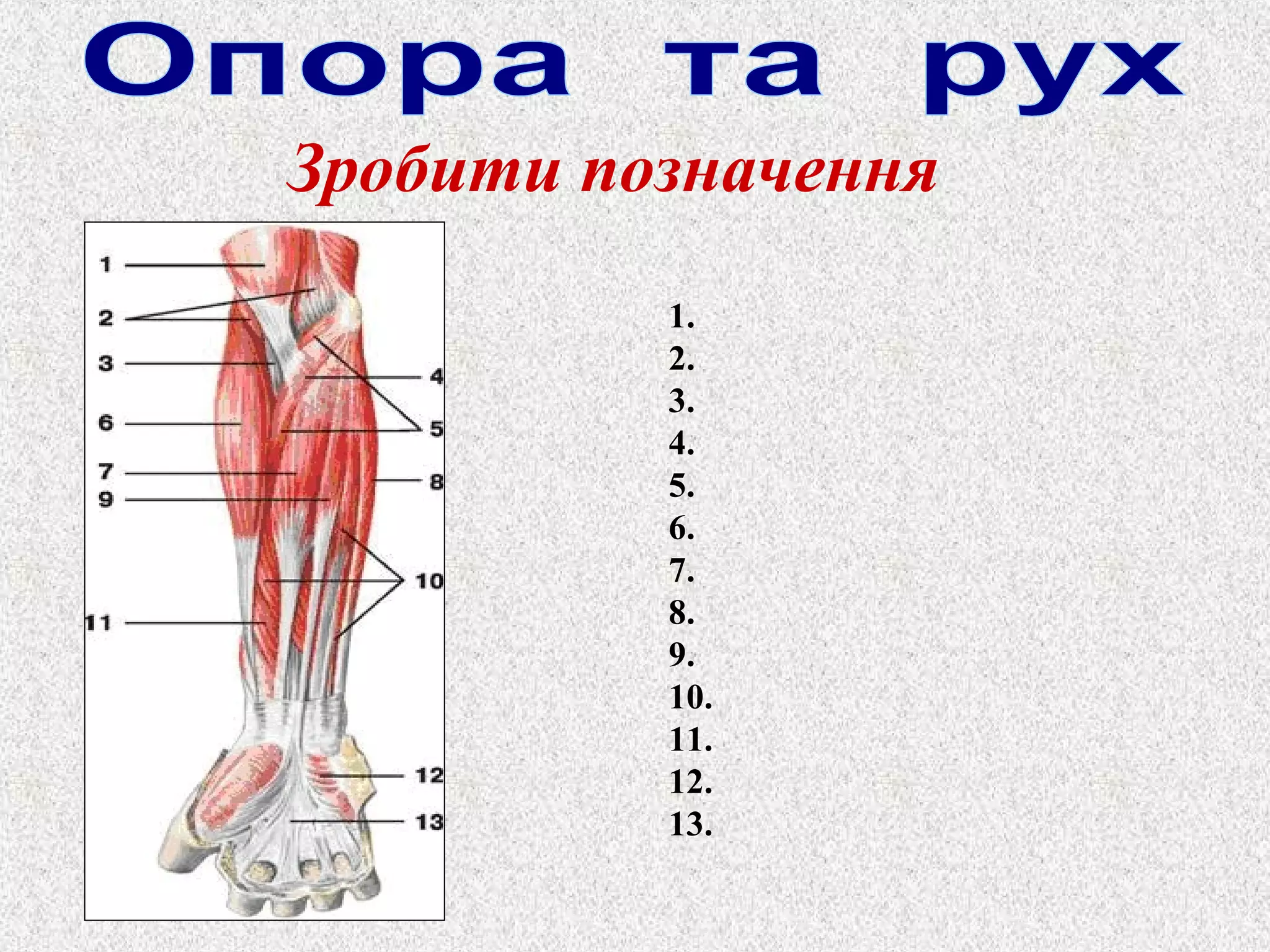 Зробити позначення 
1. 
2. 
3. 
4. 
5. 
6. 
7. 
8. 
9. 
10. 
11. 
12. 
13. 
 