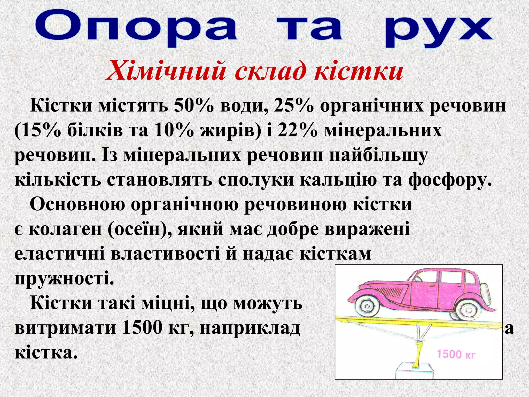 Хімічний склад кістки 
Кістки містять 50% води, 25% органічних речовин 
(15% білків та 10% жирів) і 22% мінеральних 
речовин. Із мінеральних речовин найбільшу 
кількість становлять сполуки кальцію та фосфору. 
Основною органічною речовиною кістки 
є колаген (осеїн), який має добре виражені 
еластичні властивості й надає кісткам 
пружності. 
Кістки такі міцні, що можуть 
витримати 1500 кг, наприклад стегнова 
кістка. 
 