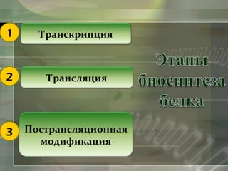 Транскрипция 
Трансляция 
Пострансляционная 
модификация 
1 
2 
3 
 