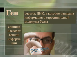 участок ДНК, в котором записана 
информация о строении одной 
молекулы белка 
единица 
наследст 
венной 
информа 
ции 
 