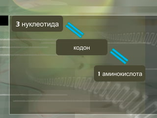 3 нуклеотида 
кодон 
1 аминокислота 
 