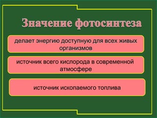 ддееллааеетт ээннееррггииюю ддооссттууппннууюю ддлляя ввссеехх жжииввыыхх 
ооррггааннииззммоовв 
источник всего кислорода в современной 
атмосфере 
источник ископаемого топлива 
 