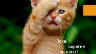 ܧ! 
֧֧ԧڧ 
اڧӧߧ! 
