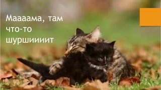 ѧѧѧѧާ, ѧ 
- 
ڧڧڧڧ 
 