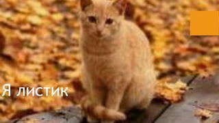  ݧڧڧ 
 
