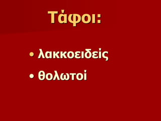 Τάφοι: 
• λακκοειδείς 
• θολωτοί 
 