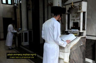 לֵייקָח ומלקות בחסידות לעלוב 
ערב יום הכיפורים, ט' תשרי תשע"ה 
 