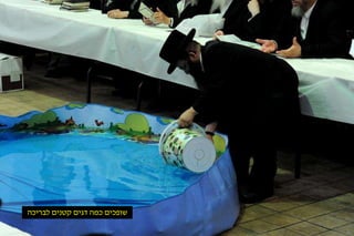 שופכים כמה דגים קטנים לבריכה 
 