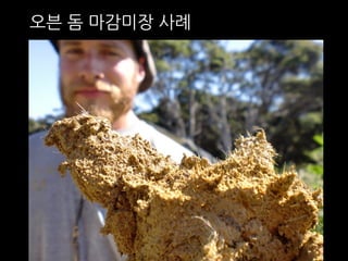 오븐 돔 마감미장 사례 
 