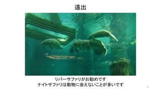 16 
遠出 
リバーサファリがお勧めです 
ナイトサファリは動物に会えないことが多いです 
 