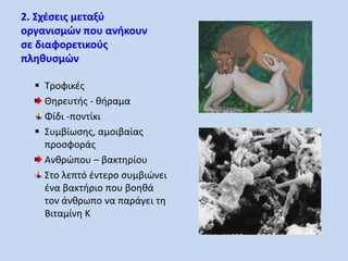 2. Σχέσεις μεταξύ 
οργανισμών που ανήκουν 
σε διαφορετικούς 
πληθυσμών 
 Τροφικές 
Θηρευτής - θήραμα 
Φίδι -ποντίκι 
 Συμβίωσης, αμοιβαίας 
προσφοράς 
Ανθρώπου – βακτηρίου 
Στο λεπτό έντερο συμβιώνει 
ένα βακτήριο που βοηθά 
τον άνθρωπο να παράγει τη 
Βιταμίνη Κ 
 