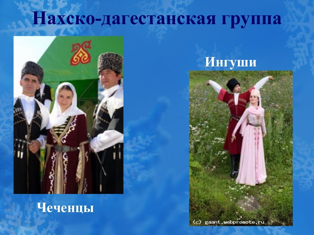 нахско-дагестанская группа языков народы. алтайская семья языков тюркская группа. чеченцы языковая группа языковая семья. языковая группа чеченцев. нахско-дагестанская группа народы список.