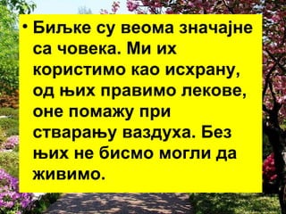 • Биљке су веома значајне 
са човека. Ми их 
користимо као исхрану, 
од њих правимо лекове, 
оне помажу при 
стварању ваздуха. Без 
њих не бисмо могли да 
живимо. 
 