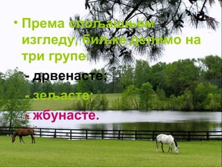 • Према спољашњем 
изгледу, биљке делимо на 
три групе: 
- дрвенасте; 
- зељасте; 
- жбунасте. 
 