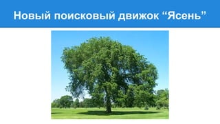 Новый поисковый движок “Ясень” 
 
